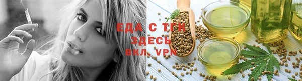 индика Дмитров