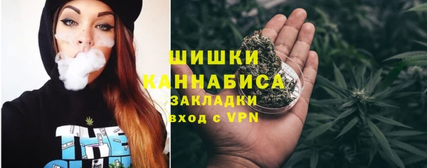 индика Дмитров