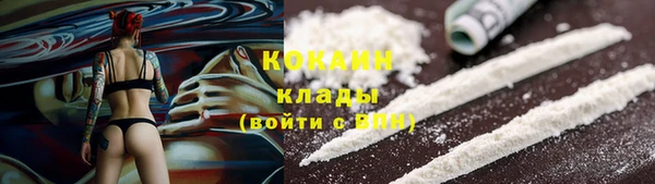 индика Дмитров
