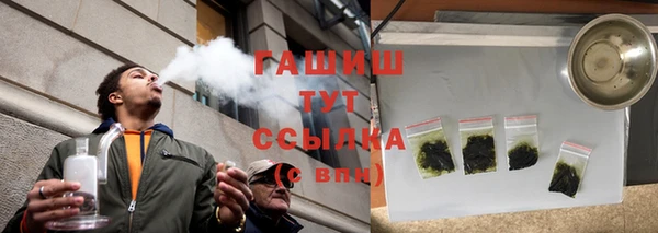 индика Дмитров