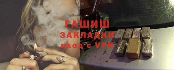 индика Дмитров