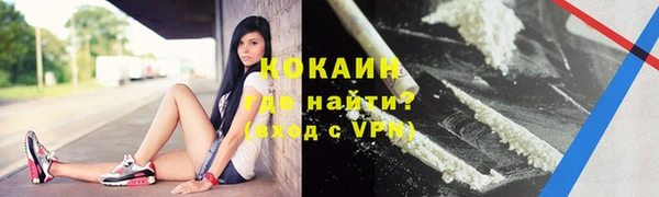 индика Дмитров