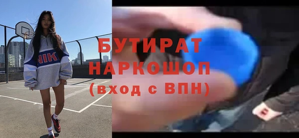 индика Дмитров
