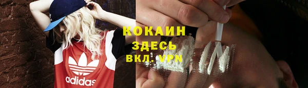 индика Дмитров