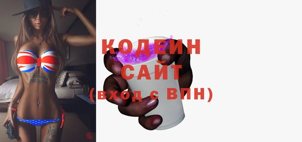 индика Дмитров
