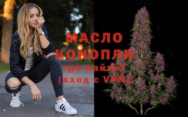 индика Дмитров