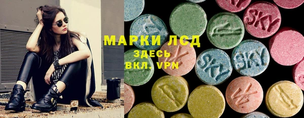 индика Дмитров