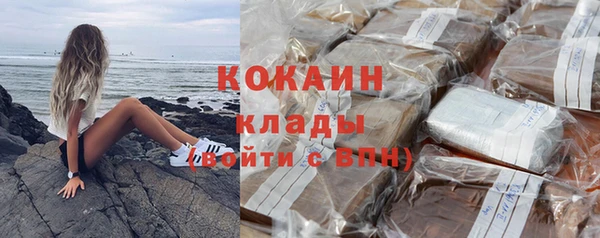 индика Дмитров