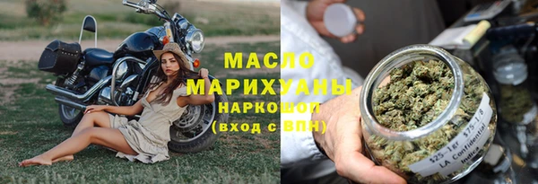 индика Дмитров
