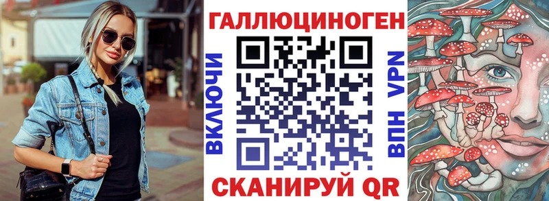 Псилоцибиновые грибы Psilocybe  закладки  Облучье 